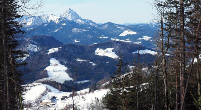 Traunsteinblick