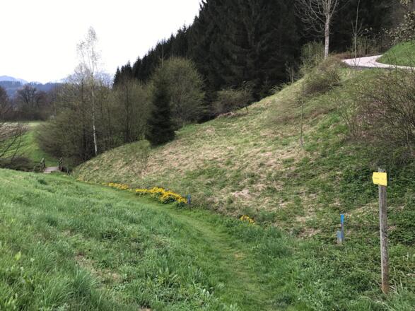 Abzweigung zurück nach Windischgarsten