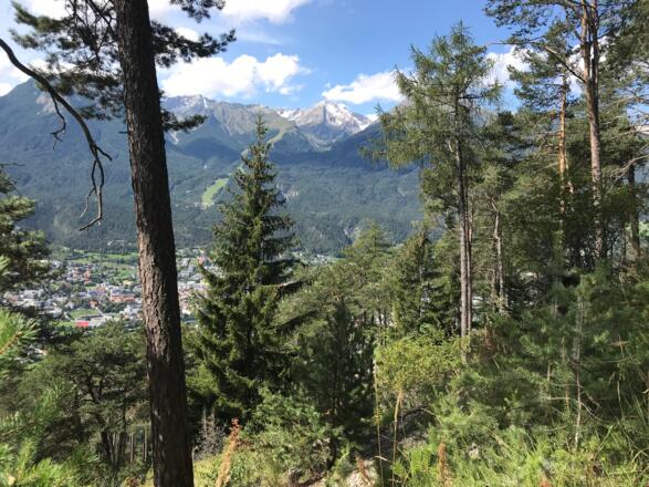 Blick ins Ruhegebiet Muttekopf