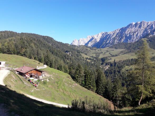 Abstieg zur Brentenjochalm