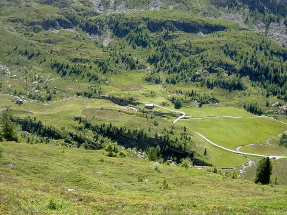 Pojer Alm vom Steiner Holm