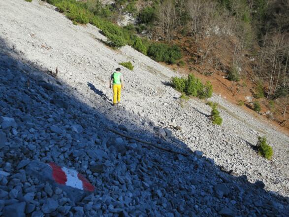 Wir queren den Schotterreise des "Linken Lehner", ein mächtiger Graben, der bis hinauf zum Grat zwischen Solstein und Hohe Warte führt.