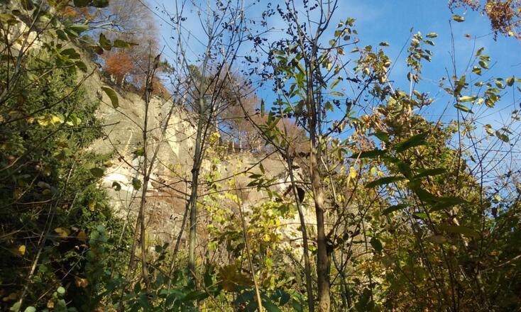 Durchs herbstlich, lichte Blätterdach ist der Känzelefelsen zu erkennen / View the rocks of Känzele