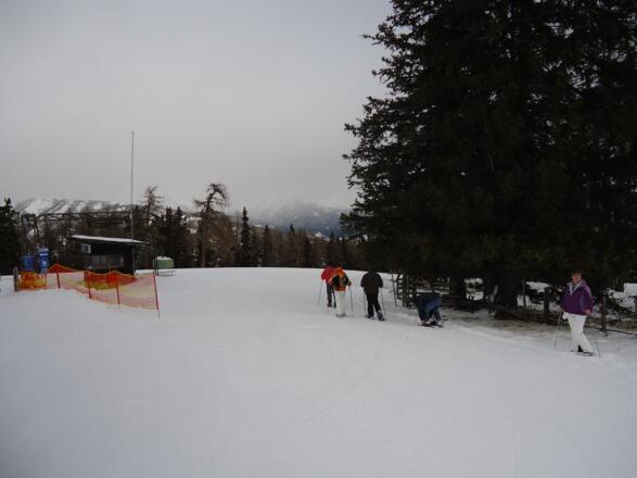 Hinter der Talstation des Schleppliftes geht man bis zum Ende der Wiese bergab und gleich danach in den Wald