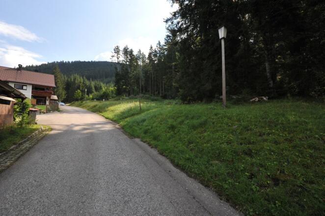 Am Wiesenstück beginnt rechts der Wanderweg