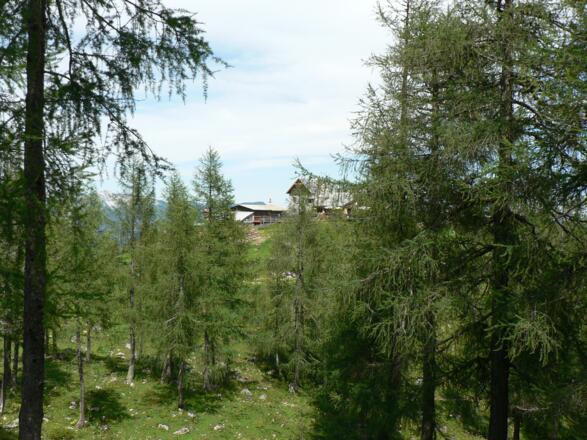 ...bis die Dümlerhütte vor uns auftaucht