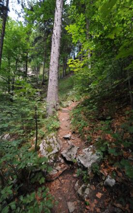 Auf dem Anstieg zum Sattel zwischen Baalstein und Geißwand
