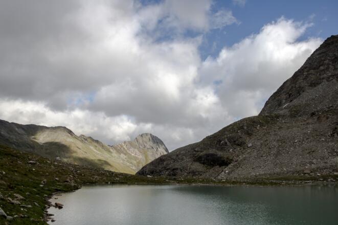 Simonysee