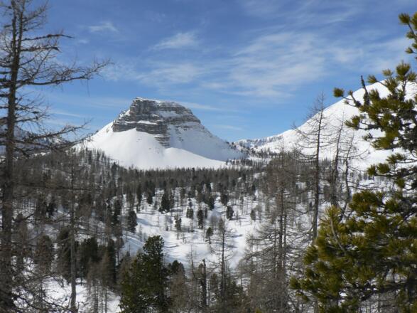 Im Zirbenwald des Weitkars zwischen Eisernem Bergl und Warscheneck führt die Spur nach Westen
