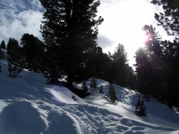 Bei dieser Waldschneise geht's aufwärts.