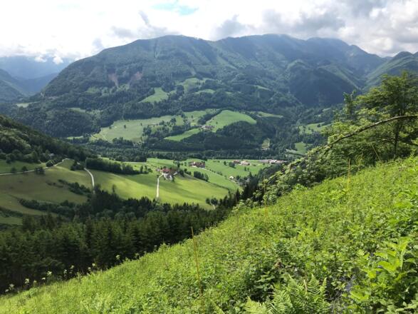 Blick ins Ennstal