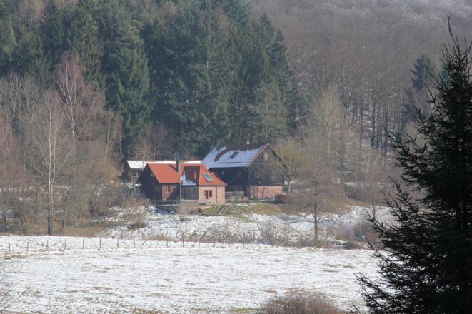 Sylvan im Weihersgrund 2