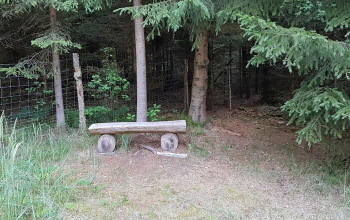 Mitten im Wald läßt sich kühl rasten,