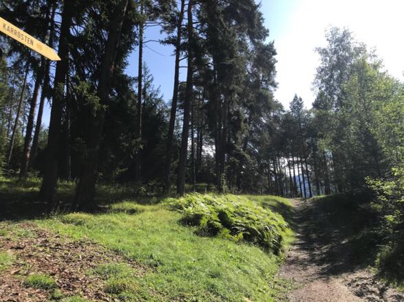 Kurzer Trail nach Karrösten