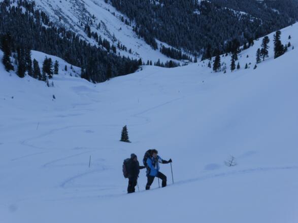 Weg hinauf zum Schellenberg.
