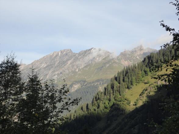 Blick zum Zitterklapfen