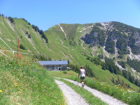 Bärenalpe unter Hochlicht/Blasenka