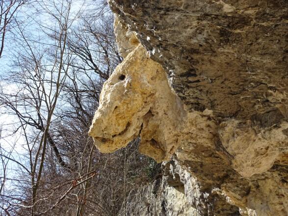 Ein versteinerter Dino oder ein Felsgespenst?