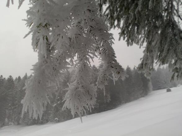 Tolle winterliche Stimmung bei dieser Rundwanderung.