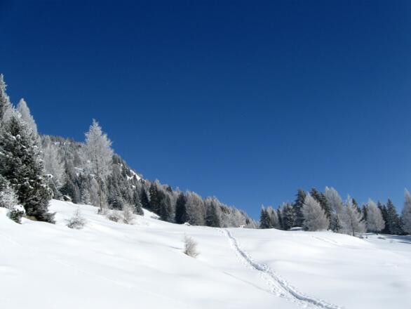 Ideales Schneeschuhgelände.