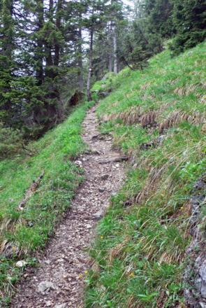 Auf dem Schützensteig