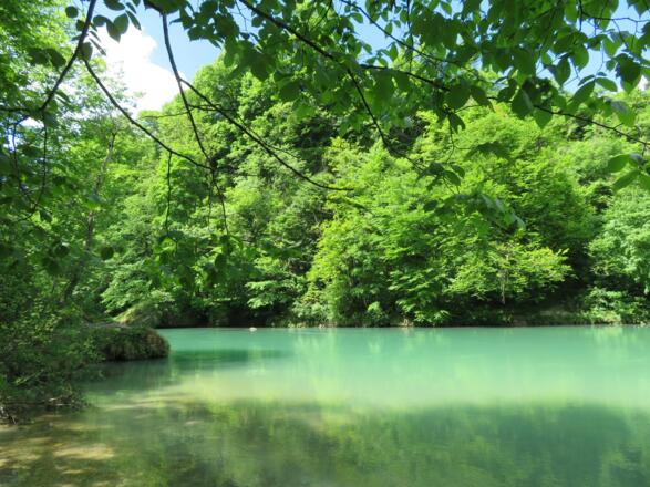 In der Steyrschlucht bei Molln