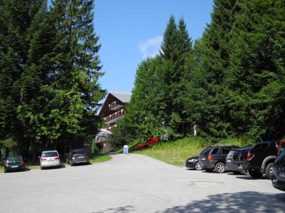 Vom Parkplatz beim Berghof steigen wir zur Forststraße auf.
