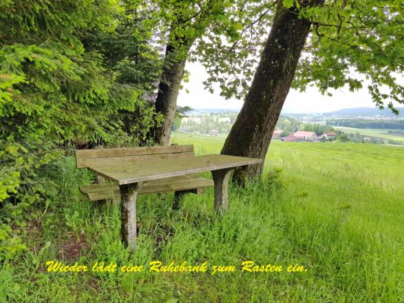 Ruhebank auf der Karolinenhöhe