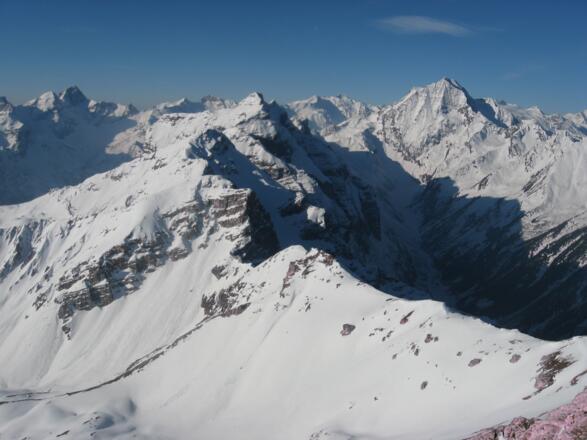 Rechts der Bildmitte der Habicht.