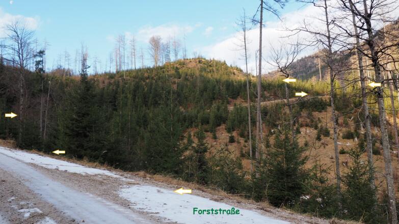 Forststraße ~800m wegen Sperre Katzengraben