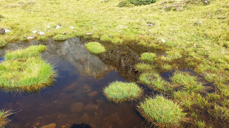 Spiegelung des Almerhorns im Abstieg