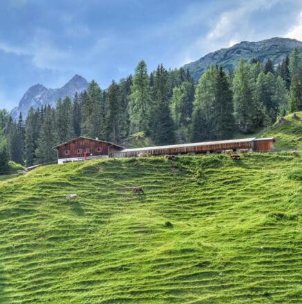 Putzen-Alpe