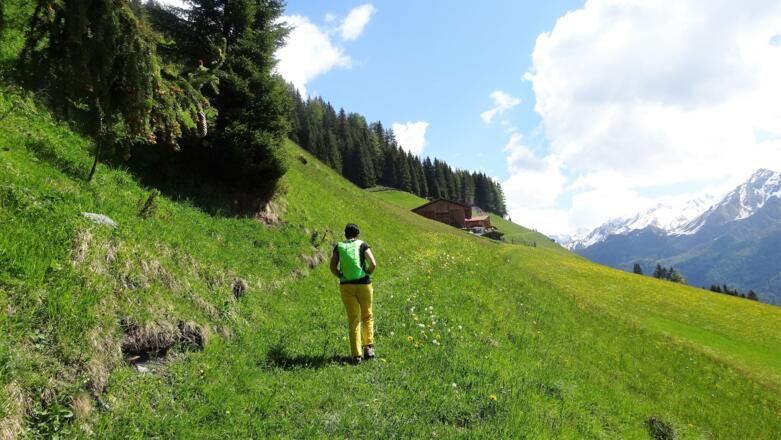 ... führt der Weg durch den Wald und zuletzt auf freien Wiesen ...