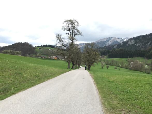 Der Weg zum Gehöft Rumplmayr