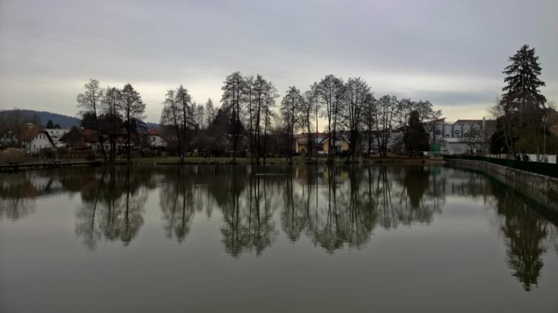 Der Pregartenteich