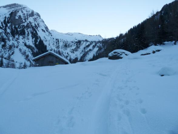 Direkt bei der Vennalm zweigen wir rechterhand ab und steigen über den Sommerweg auf.