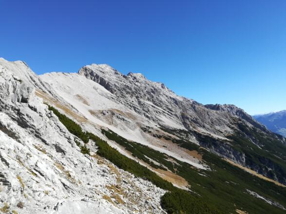 Kleiner und großer Bettelwurf