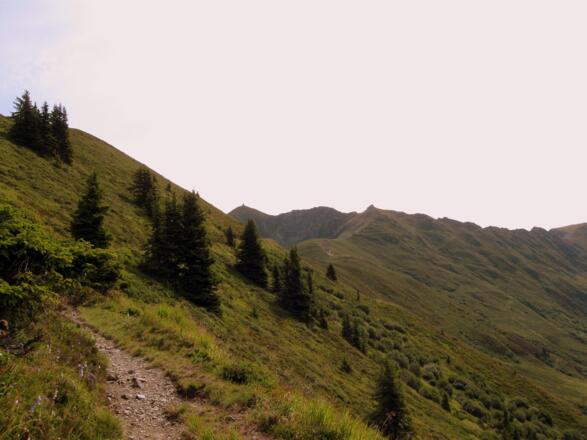 Fast der komplette Weg ist einsehbar. In der Bildmitte die Kellerjochhütte, ganz hinten die Kapelle am Kellerjoch.