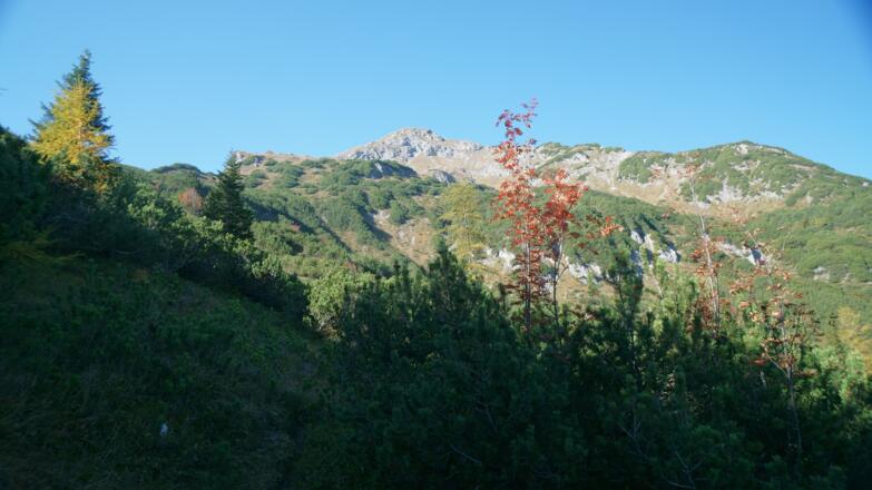 Anstieg über einen aufgelassenen Pfad im Pfötschegarten.