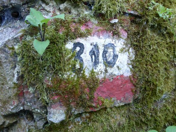 Ab der Donau - Wechsel von 110 auf 810