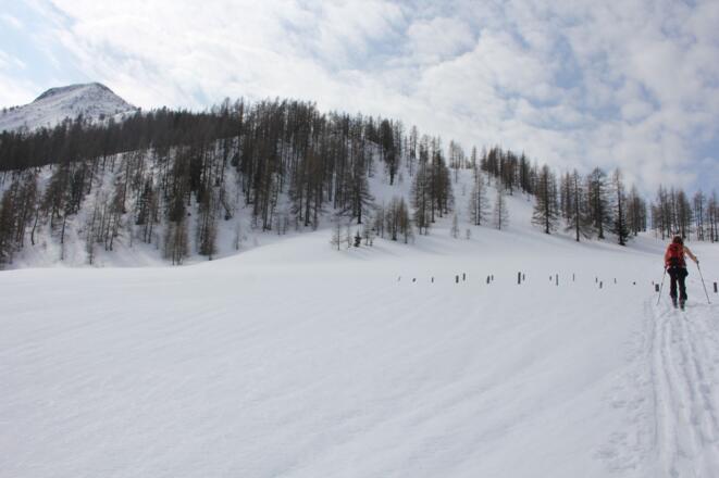 Weiterweg nach der Alm, der weitere Wegverlauf bis zum bewaldeten Rücken