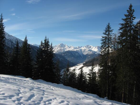Blick von der Naviserhütte zu den Stubaier Alpen, links der Bildmitte befindet sich der Habicht.