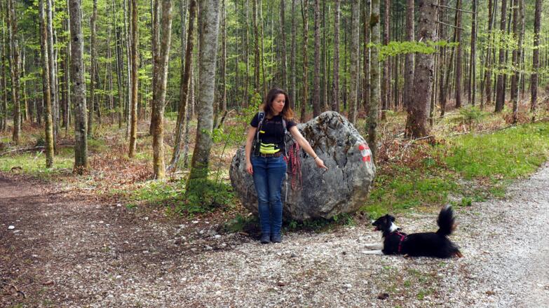 Hier links beim Stein ab (~600 m)