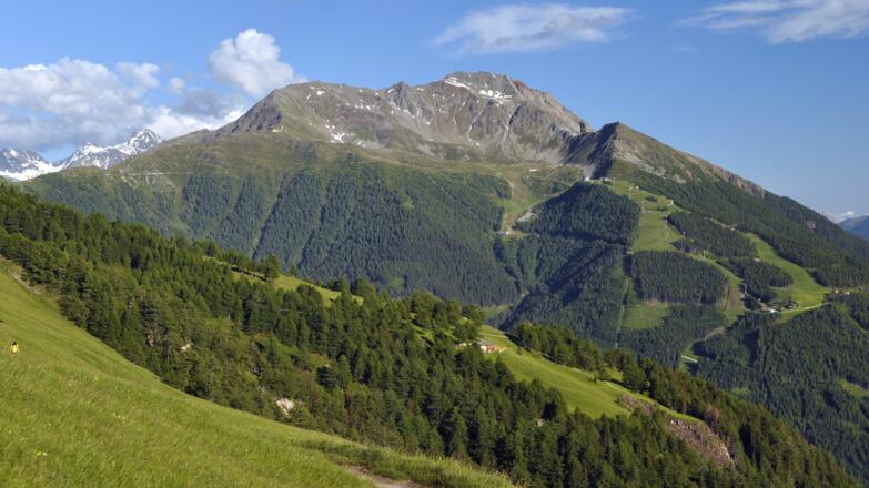 Weg Steineralm nach Glanz, Rottenkogel