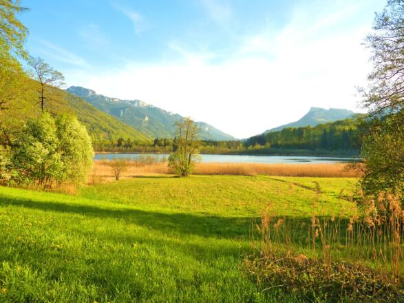 Landschaftsschutzgebiet Bärnsee - Umgebung