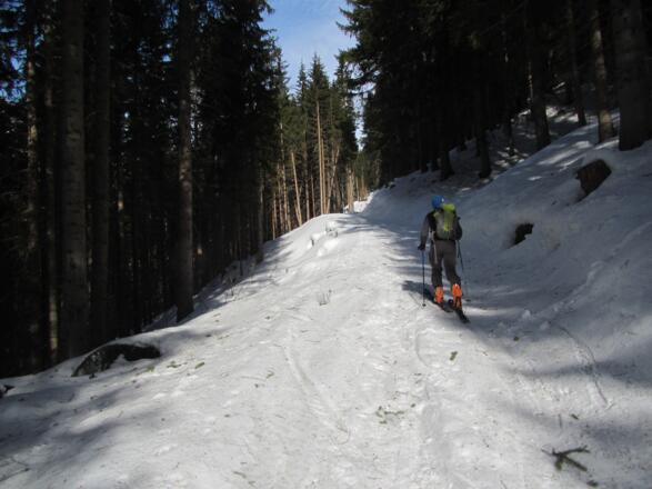 Forstweg bis zur Staudleralm