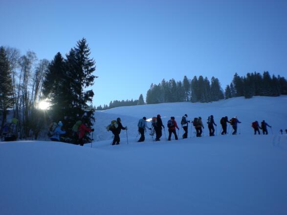 Blick Richtung Berlingers-Ochsenhofalpe