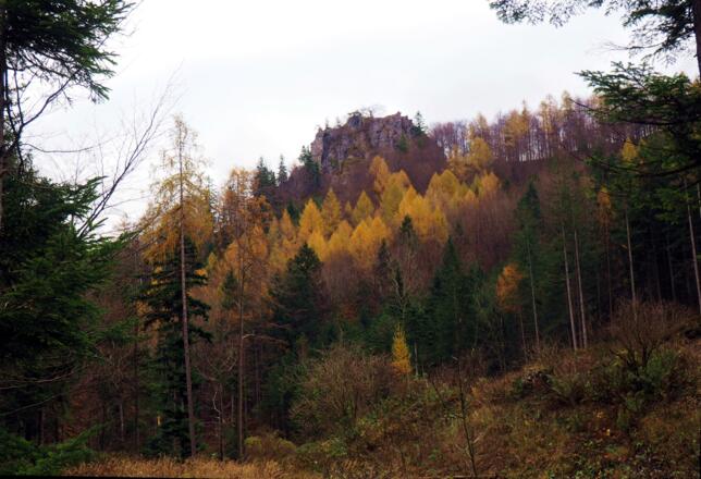 Felskanzel Beilstein 823m