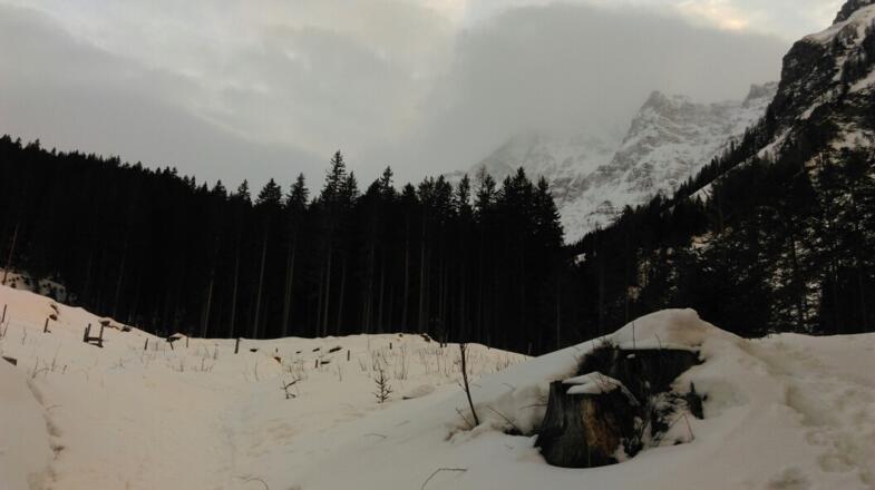 Ausblick vom Weg