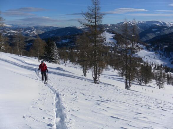 Zustieg zum SO-Rücken